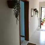 Little Paradise